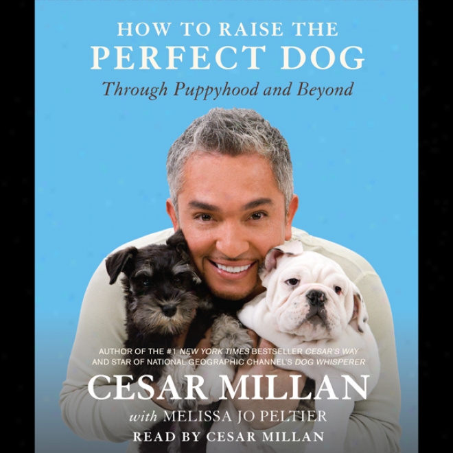 How To Raie The Perfect Dog: Through Puppyhood And Beyond (unabridged)