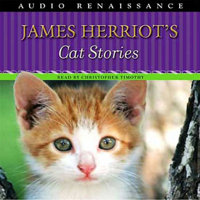 James Herriot's Cat Stories