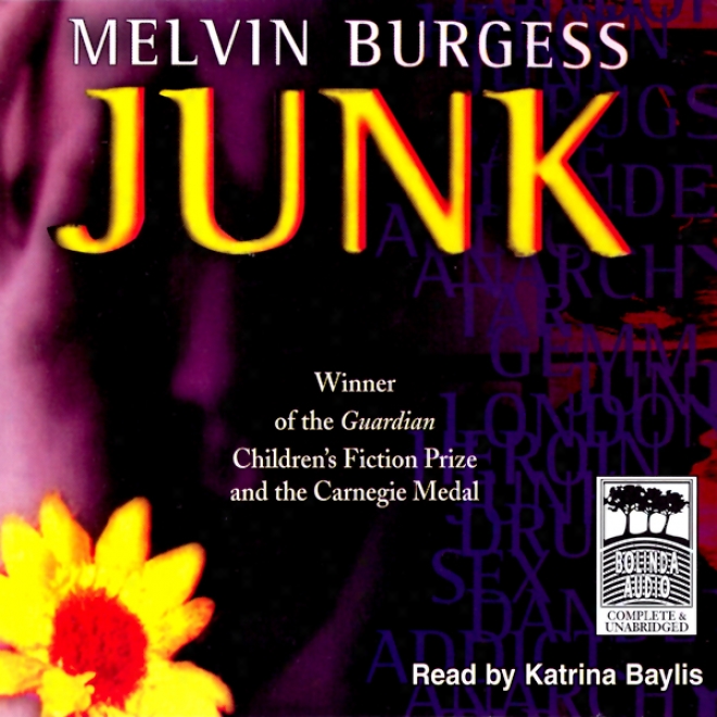 Junk (unabridged)