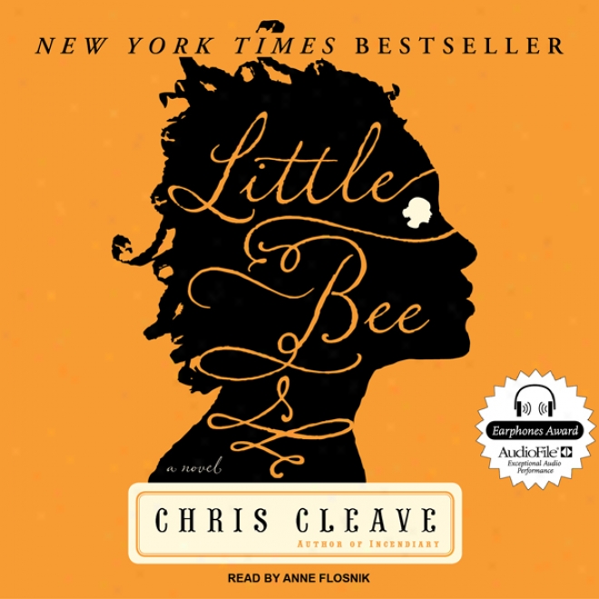 Little Bee: A Novel (unabridged)