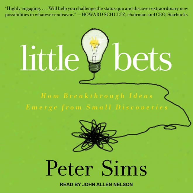 Lottle Bets: How Breakthrough Ideas Emerge From Small Discoveries (unabridged)