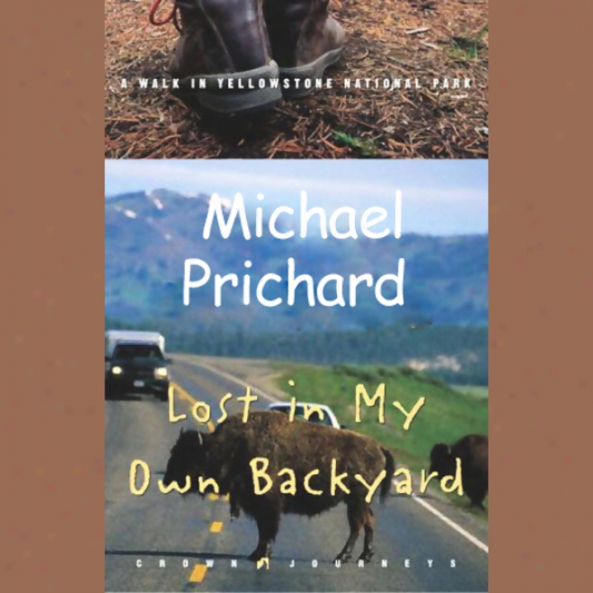 Missing In My Own Backyard: A Walk In Yellowstone National Park (unabridged)