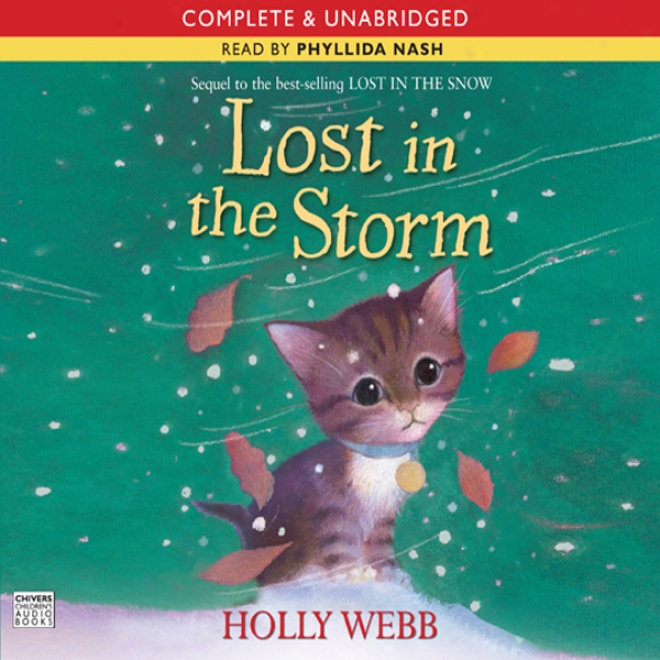 Lost In The Storm (unabridged)