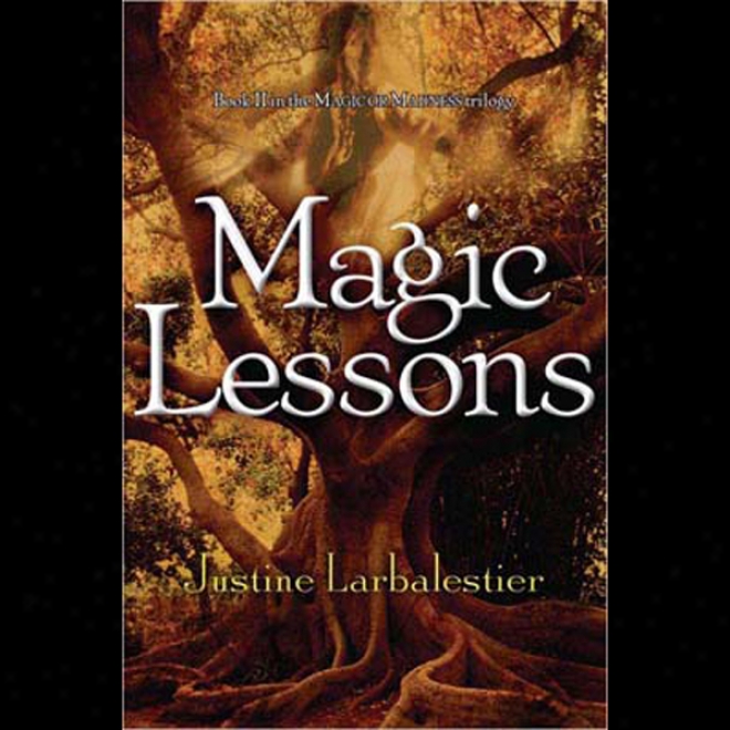 Magic Lessons: Magic Or Madness, Book 2 (unabridged)