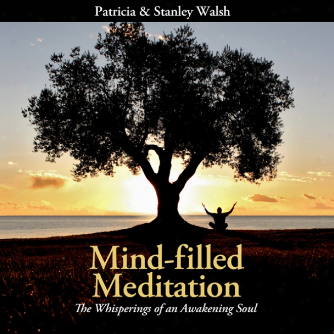 Mind-filled Meditation: The Whisperings Of One Awakening Soul (unabridged)