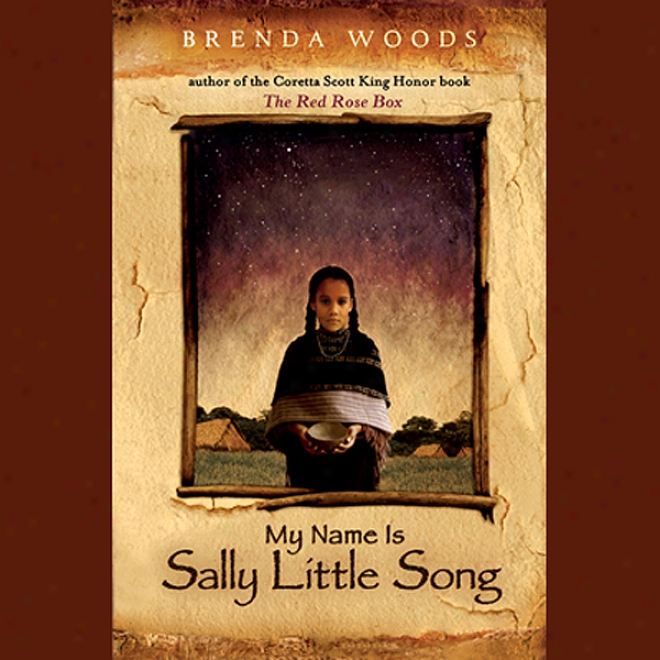 My Name Is Sally Little Song (unabridged)