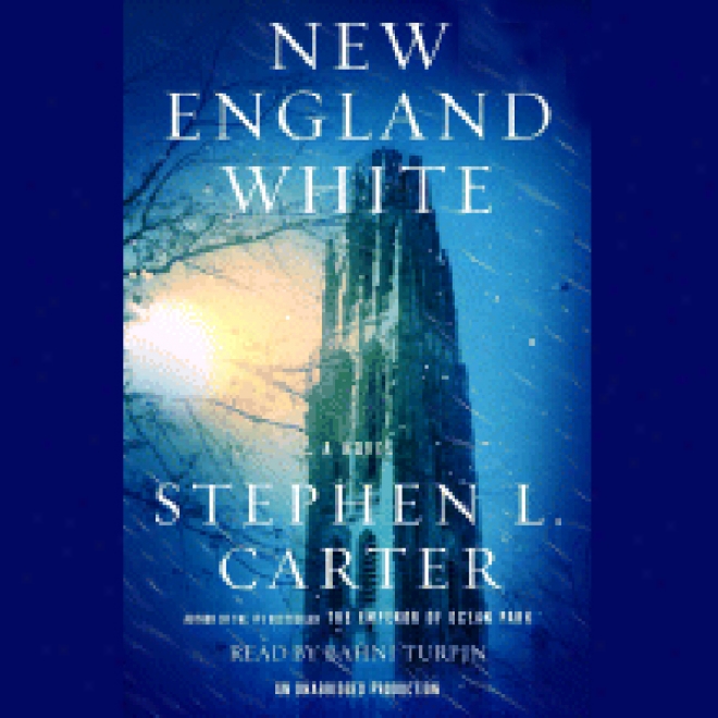 New England White: A Novel (unabridged)