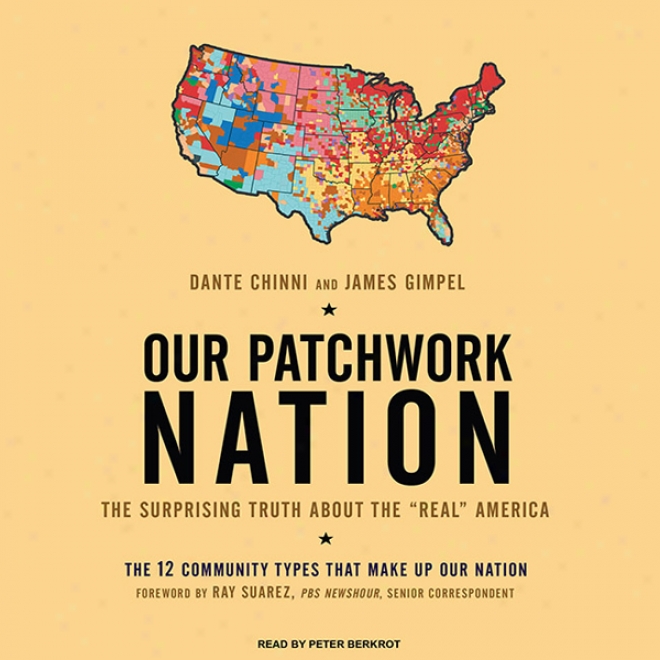 Our Patchwork Nation: The Surorising Tuth About The 'real' America (unabridged)