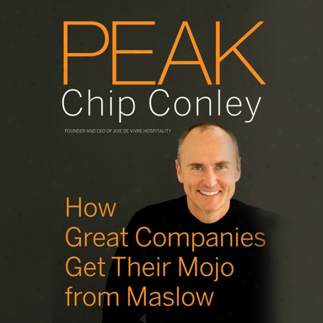 Peak: How Great Companies G3t Their Mojo From Maslow (unabridged)