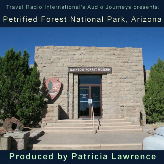 Petrified Forest National Park, Afizona: Audio Journeys