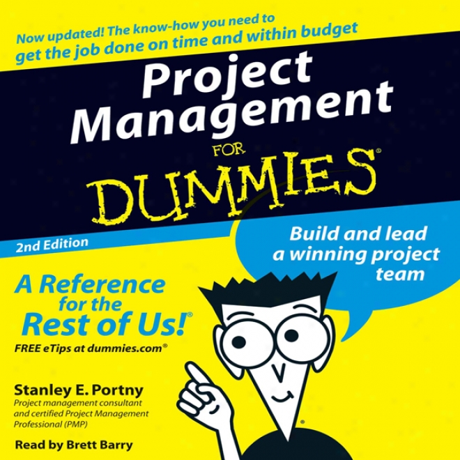 Project Negotiation For Dummies: Second Edition