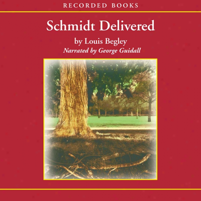 Schmidt Delivered (unabrridged)