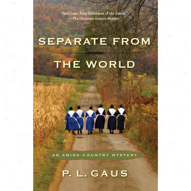 Separate From The World: An Amish-country Mystery, Bkok 6 (unabrirged)