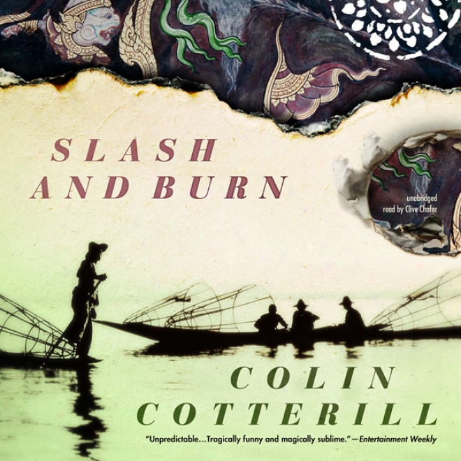 Slash And Burn: The Dr. Siri Investigations, Book 8 (unabridged)