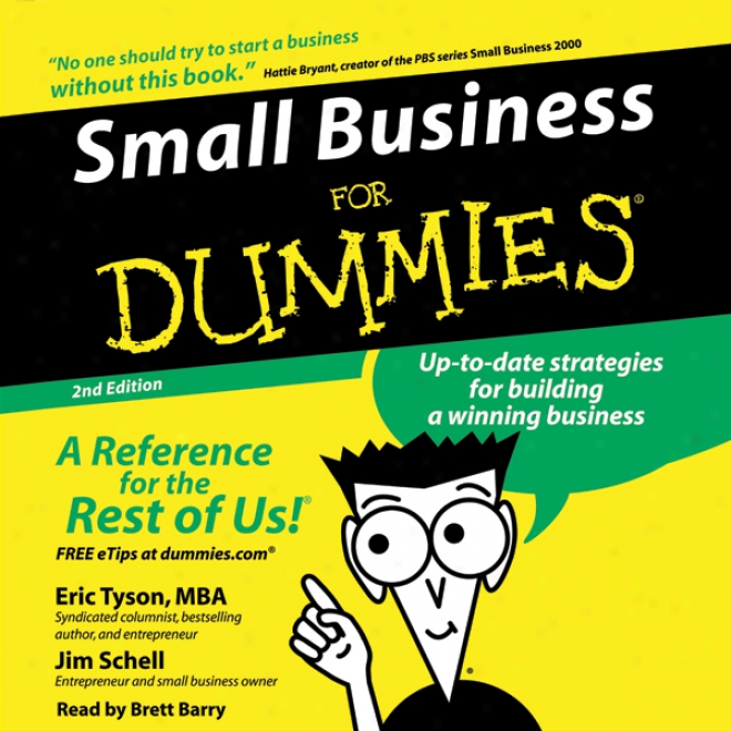 Small Business For Dummies, 2nd Impression