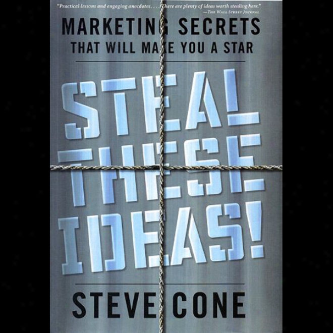 Steal These Ideas: Marketing Secrets That Will Make You A Star (unabridged)