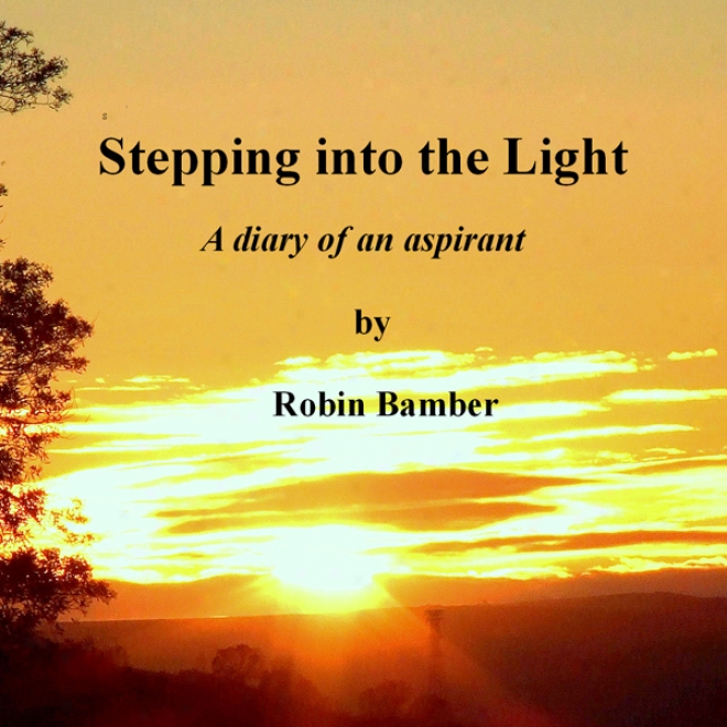 Stepping Into The Light: A Diary Of An Aspirant (unabridged)