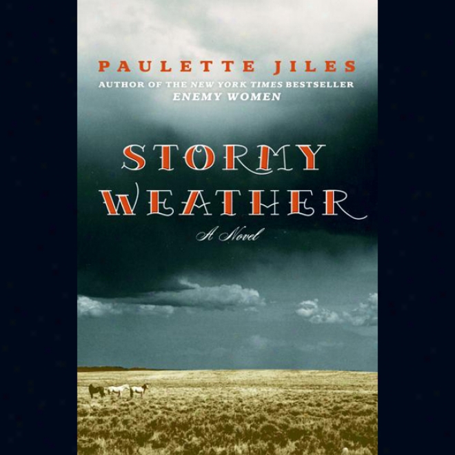 Stormy Wetaher (unabridged)