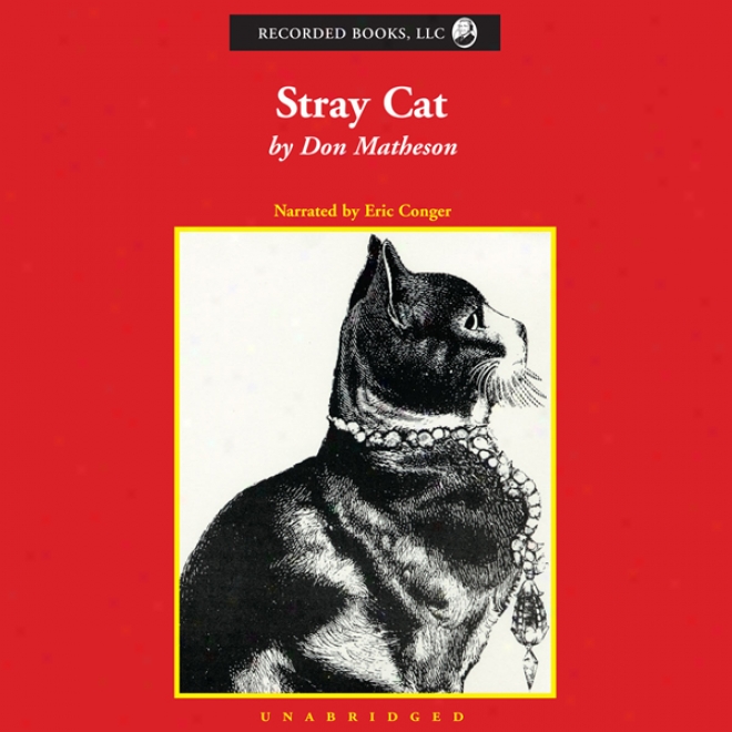Stray Cat (unabridged)
