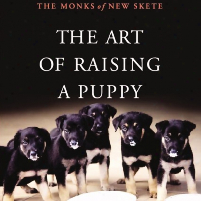 The Art Of Raising A Puppy