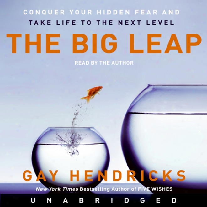 The Big Leap (unabridged)