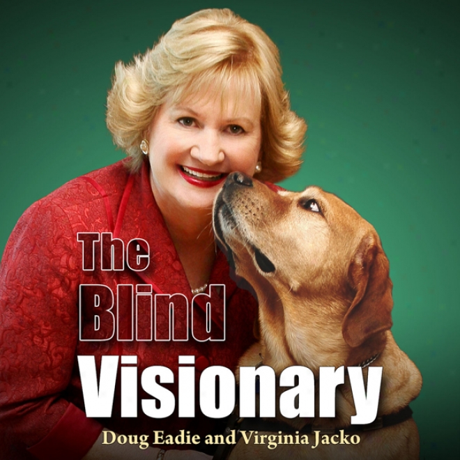 The Blind Visionary: Experienced Leszons For Meeting Challenges On The Way To A More Fulfilling Life And Career