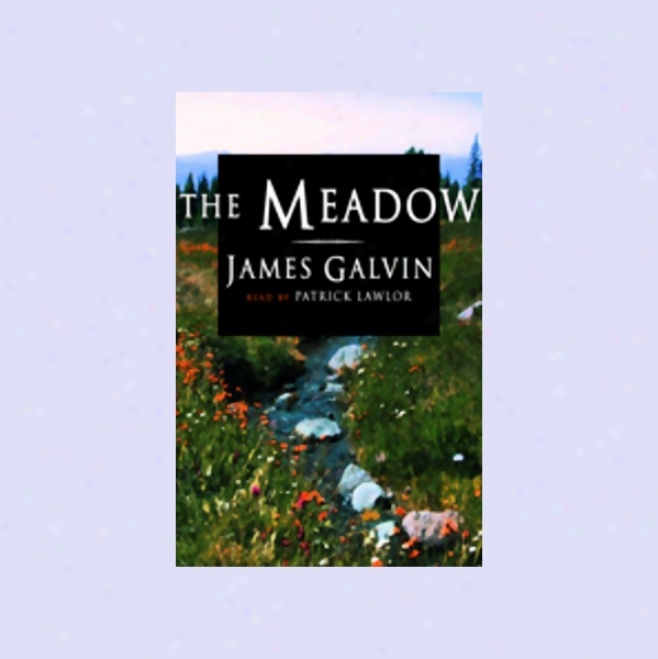 The Meadow (unabridged)