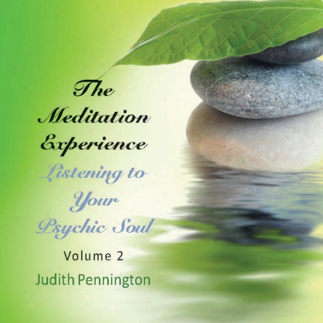 The Meditation Experience: Listening To Your Psgchic Soul, Vol. 2