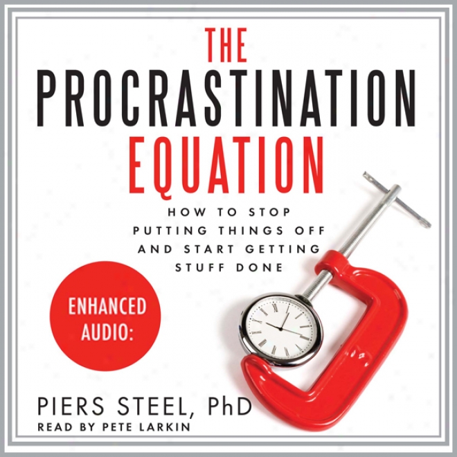 The Procrastination Equation: How To Stop Putting Things Off-And Start Getting Stuff Done (unabridged)