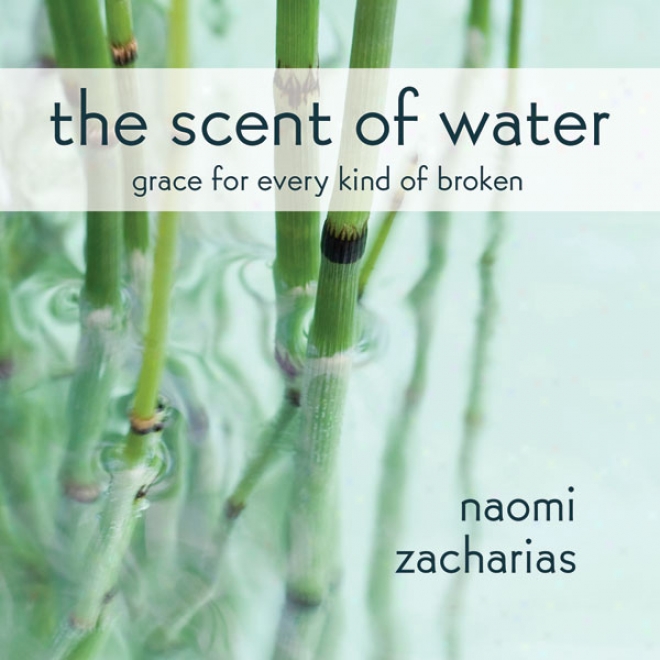 The Scent Of Water: Diwcovering What Remains (unabridged)