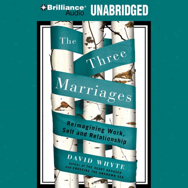 The Three Marriages: Reimagining Work, Self And Rdlationship (unabridged)