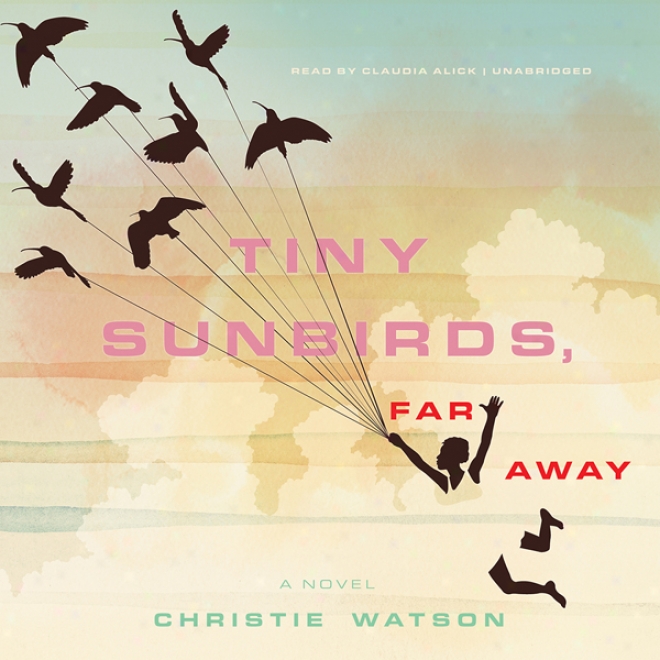 Tiby Sunbirds, Far Away: A Novel (unabridged)