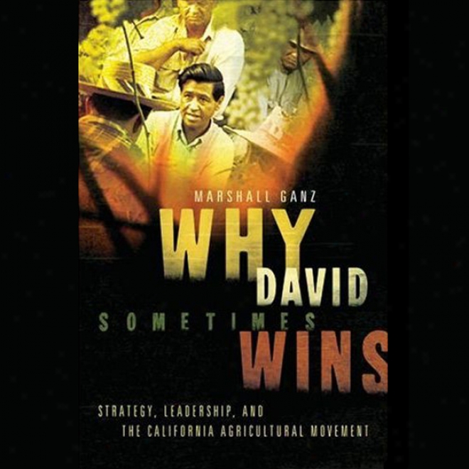 Why David Sometimes Wins: Leadership, Organization, And Stfateyg In The California Farm Worker Movement (unarbidged)