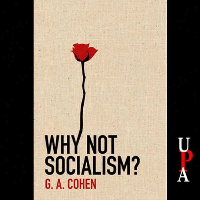 Why Not Socialism? (unabridged)