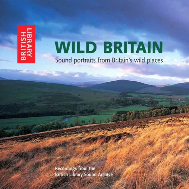 Undomesticated Britain: Sound Portraits From Britain's Wildest Places (unabridged)