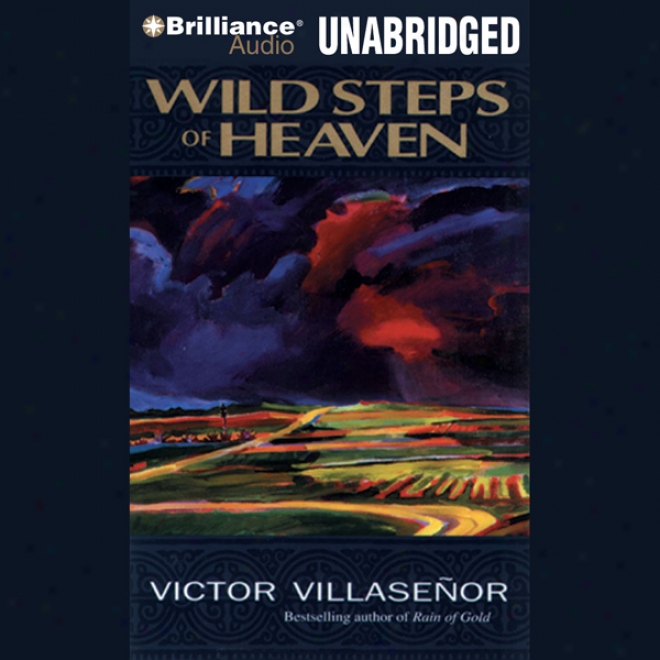 Wild Steps Of Heaven (unabridged)