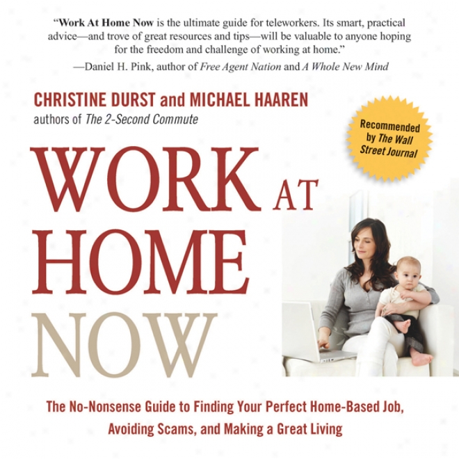Work At Home Now: The No-nonsense Guide To Finding Your Perfect Home-based Job, Avoiding Scams, And Making A Great Living (unabridged)