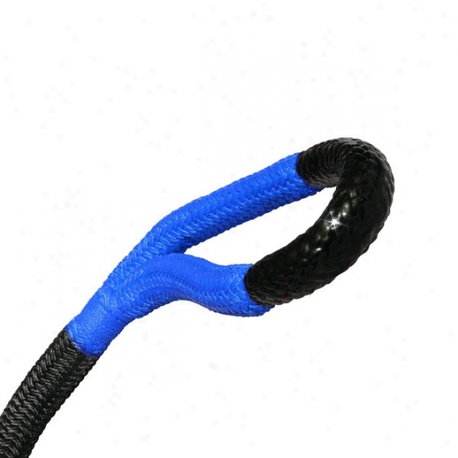 "big Bubba Rope, Gator-ized, Blue, 1-1/4"" X 30', B/s: 52,300 Lbs"