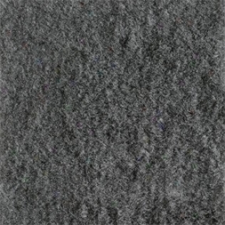 Dark Hoary Poly Backed Complete Carpet Kit