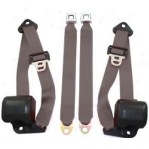 Front Metal Push Button 3 Point Retractable Belts, Charcoal