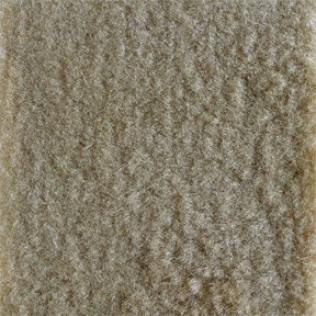 Gold Poly Backed Complete Carpet Kit