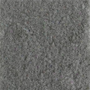 Gray/oyster Poly Backed Complrtw Carpet Kit