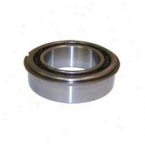 Input Gear Bearing