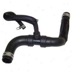 Radiator Hose (lowwer)