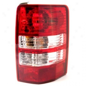 Right Side Tail Light
