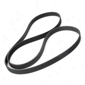 Rugged Ridge Serpentine Belt