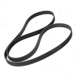 Serpentine Belt