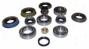 Master Bearing And Seal Kit W/model 30 Front