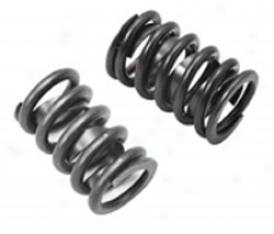 Valve Spring