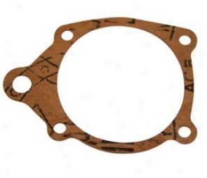 Water Pump Gasket